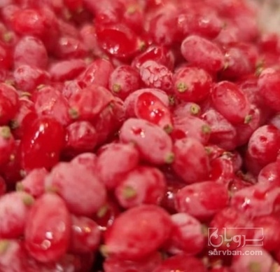 فروش زرشک منجمد