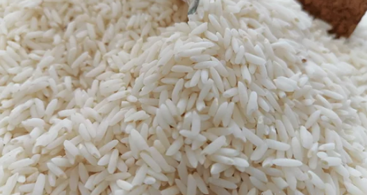 فروش شالی  برنج