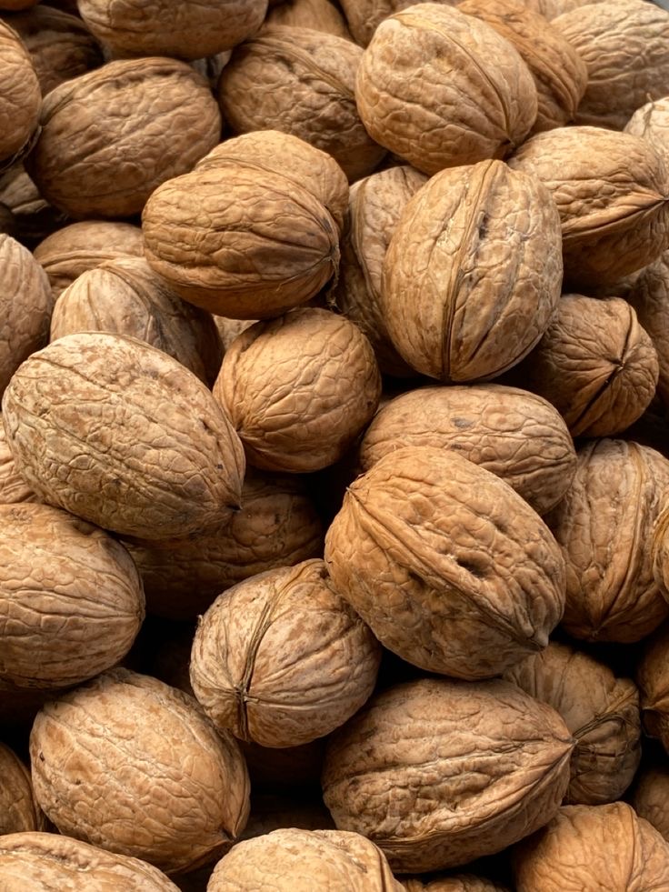فروش گردو