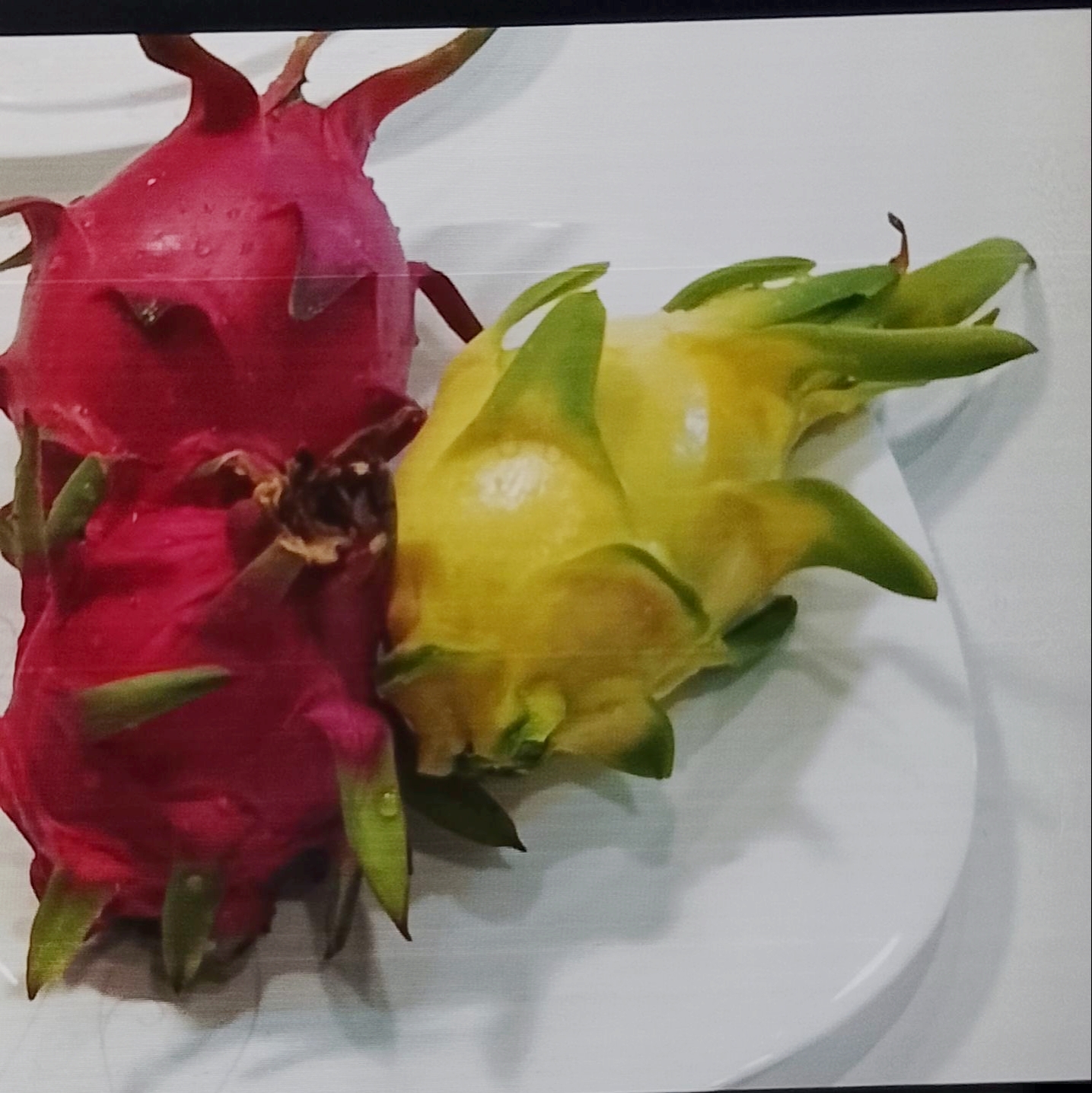 فروش میوه کاکتوس (دراگون فروت)
