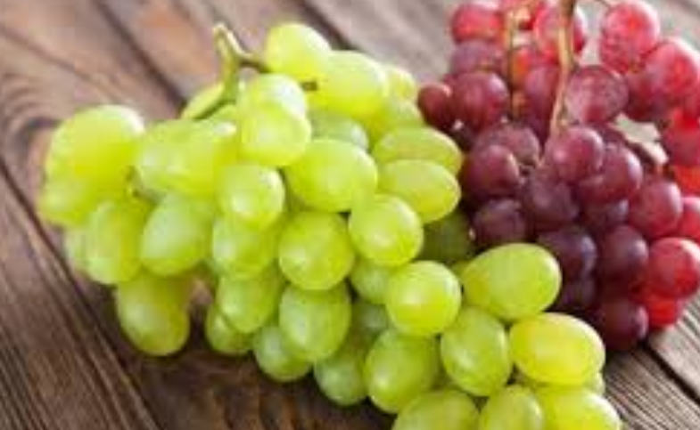 فروش انگور بش