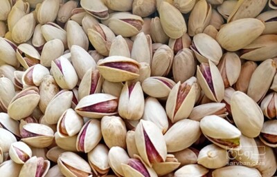 فروش پسته