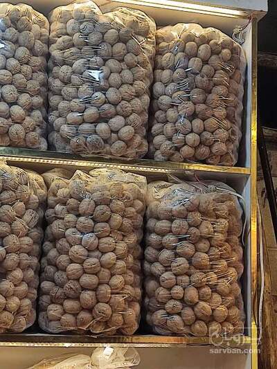 فروش گردو
