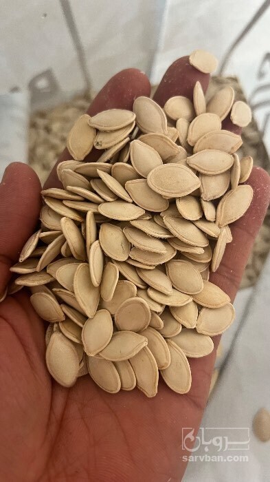 فروش تخمه  کدو بو داده