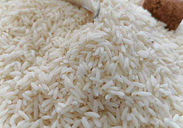 فروش  شالی برنج
