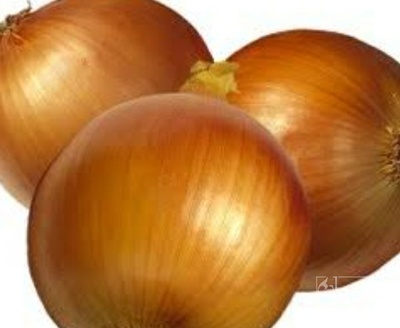 فروش پیاز زرد