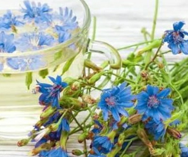 فروش عرق کاسنی