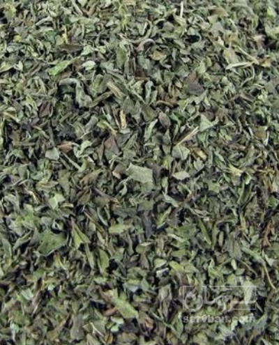 فروش نعناع خشک (گیاه‌ دارویی)