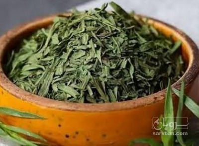 فروش ترخون (گیاه‌ دارویی)