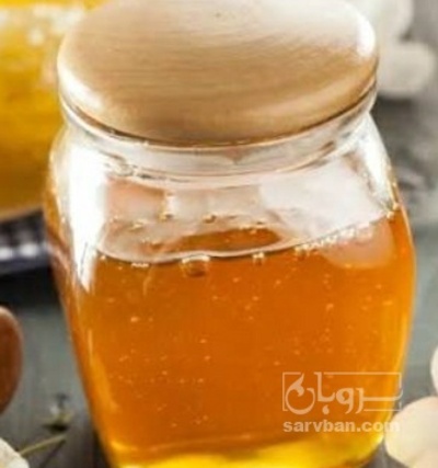 فروش عسل تغذیه