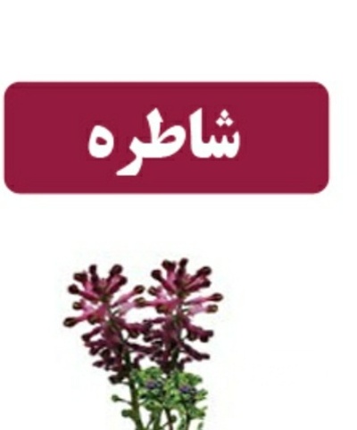 فروش عرق شاتره