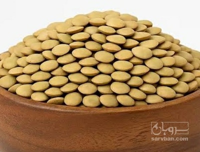فروش عدس