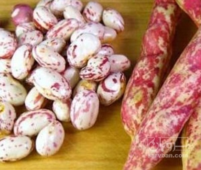 فروش لوبیا چیتی