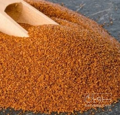 فروش خاکشیر (گیاه‌ دارویی)