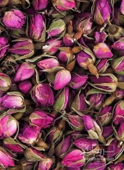 فروش گل محمدی (گیاه‌ دارویی)
