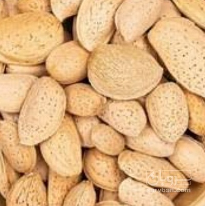 فروش بادام سنگی