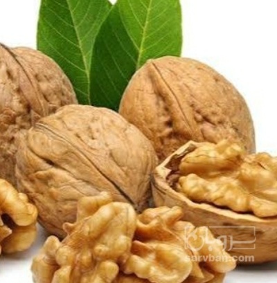 فروش  مغزگردو
