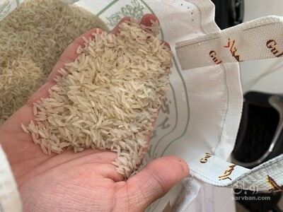 فروش برنج386 گل ممتاز