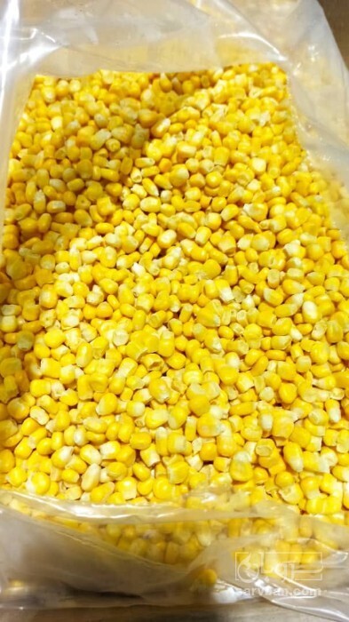 فروش ذرت