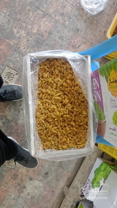 فروش کشمش