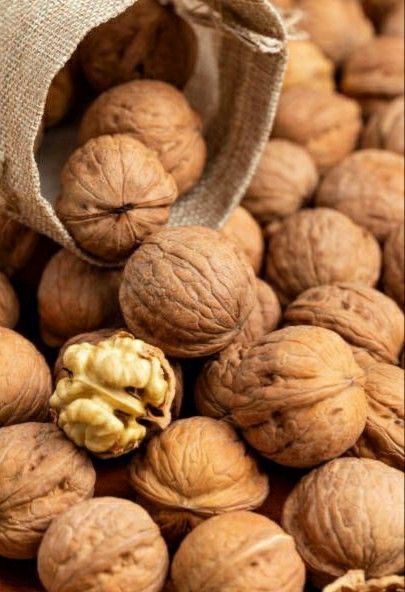 فروش گردو