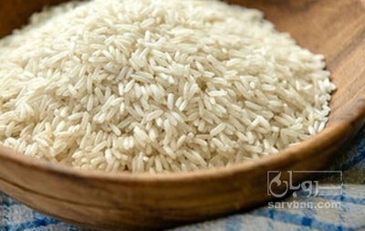فروش برنج شیرودی