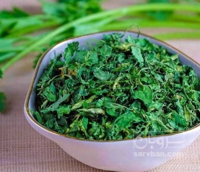 فروش پیازچه
