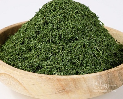 فروش شوید خشک (گیاه‌ دارویی)