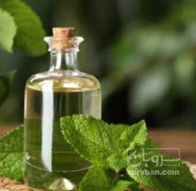 فروش عرق نعناع