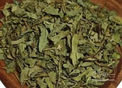 فروش نعناع خشک