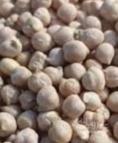 فروش نخود