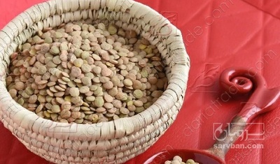 فروش عدس