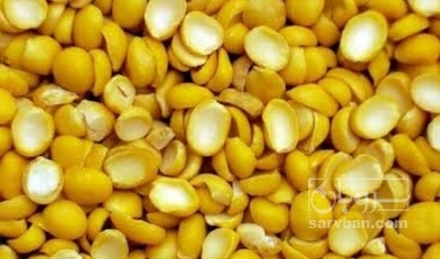 فروش نخود کفتری - لپه