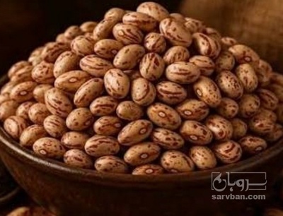 فروش لوبیا چیتی