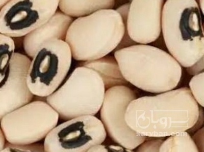 فروش لوبیا چشم بلبلی