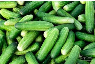فروش خیار