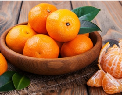 فروش نارنگی