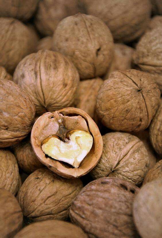 فروش گردو