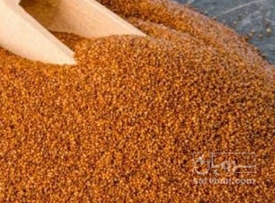 فروش خاکشیر (گیاه‌ دارویی)