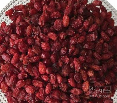 فروش زرشک