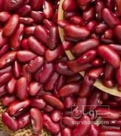 فروش لوبیا قرمز