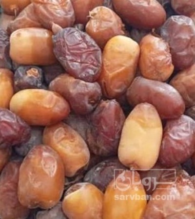 فروش خرمارطب