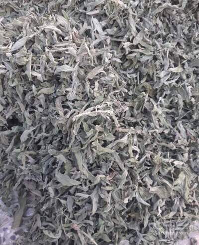 فروش پونه (گیاه‌ دارویی)