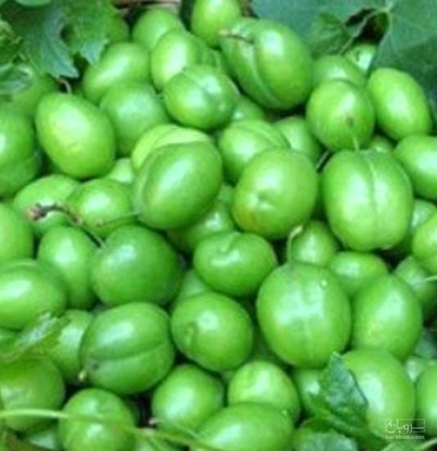 گوجه سبز