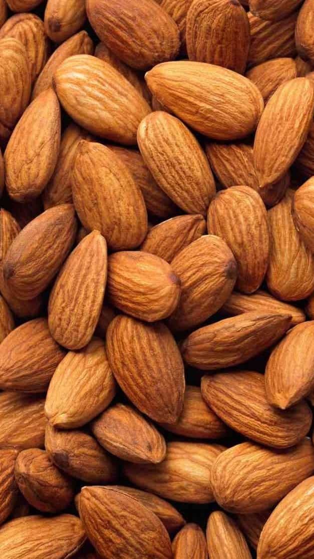 فروش بادام درختی