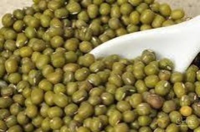 فروش قره ماش (ماش سیاه)