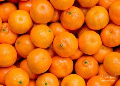 فروش نارنگی