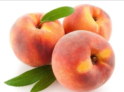فروش هلوکرست