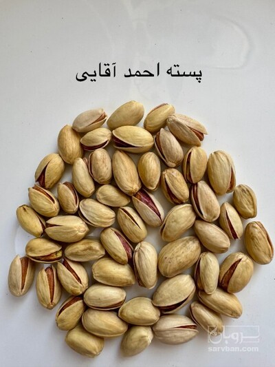 فروش پسته