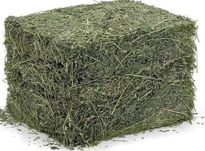 فروش یونجه
